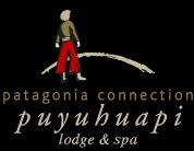 Termas Puyuhuapi: las mejores aguas y rutas termales